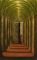 Doors of Night by Vladimir Kush